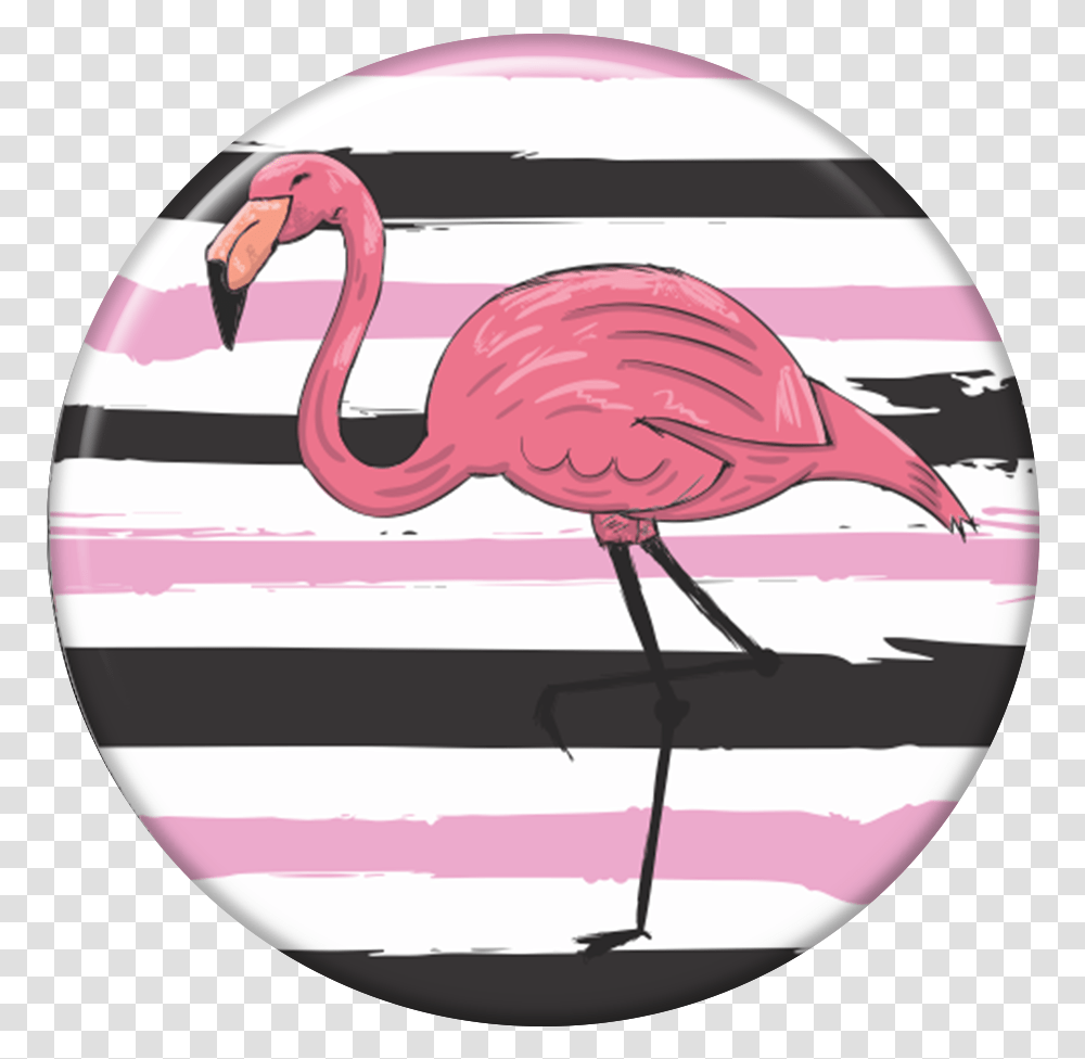 Greater Flamingo, Helmet, Apparel, Bird Transparent Png