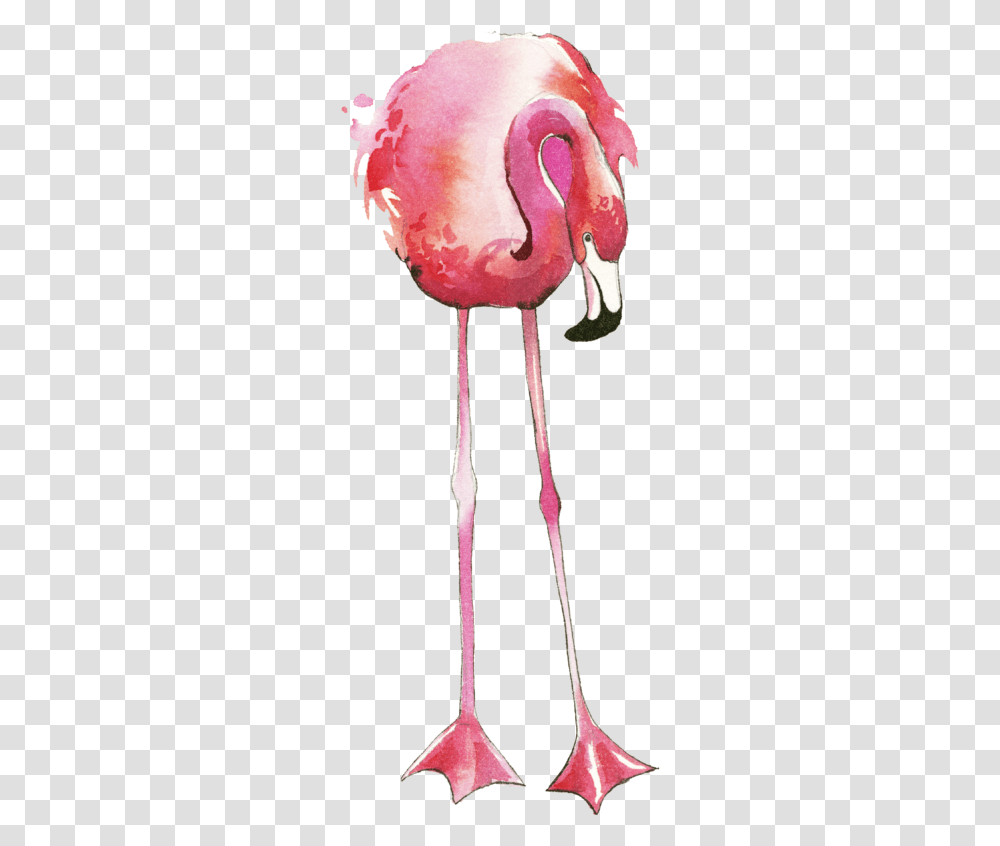 Greater Flamingo, Plant, Sweets, Food, Animal Transparent Png