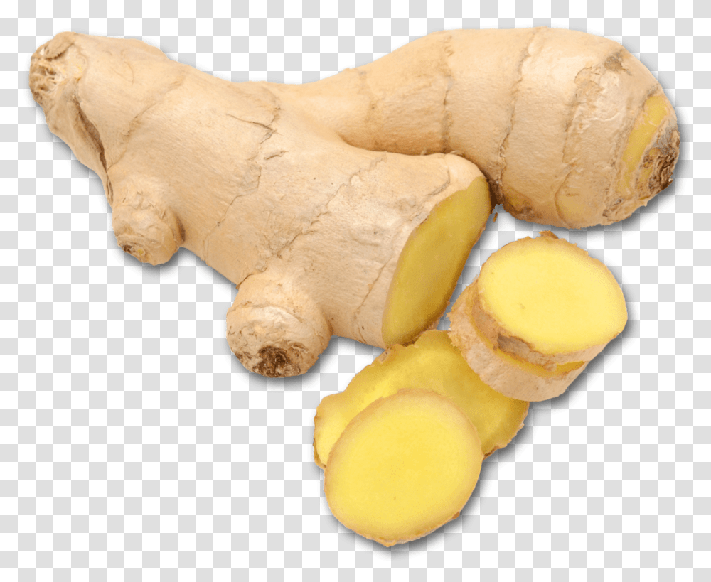 Greater Galangal, Plant, Ginger, Fungus Transparent Png