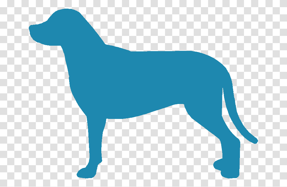 Greater Swiss Mountain Dog Silhouette Ancient Dog Breeds, Mammal, Animal, Person, Human Transparent Png