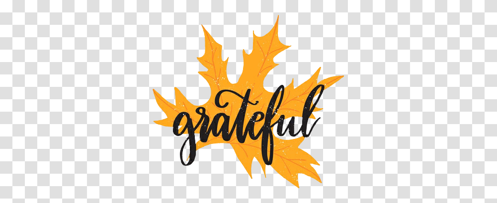 Greatful Thankful Blessed November Thanksgiving Thanksg, Leaf, Plant, Tree, Maple Leaf Transparent Png