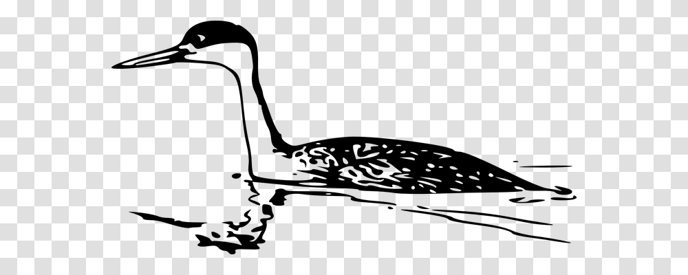 Grebe Animals, Gray, World Of Warcraft Transparent Png