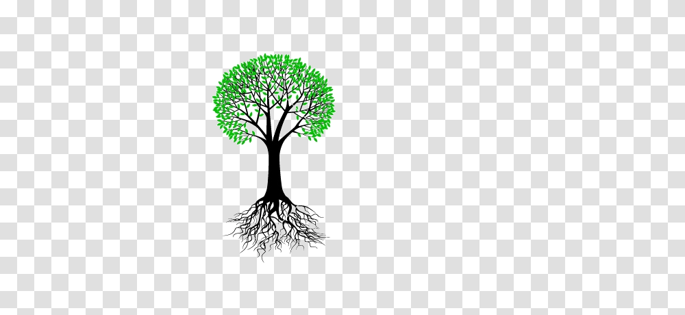 Greek Root Word Clipart Free Clipart, Plant, Tree Transparent Png