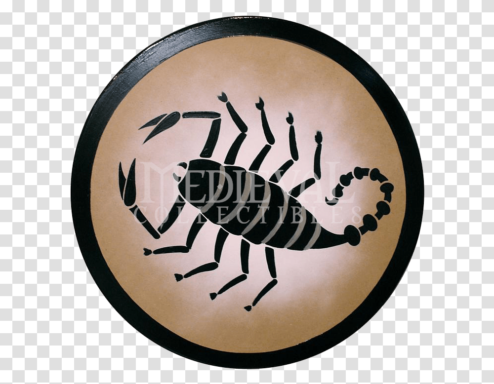 Greek Shield Spartan Shield Shield Tattoo Shield Greek Shield Designs Scorpion, Skin, Drum, Percussion, Musical Instrument Transparent Png