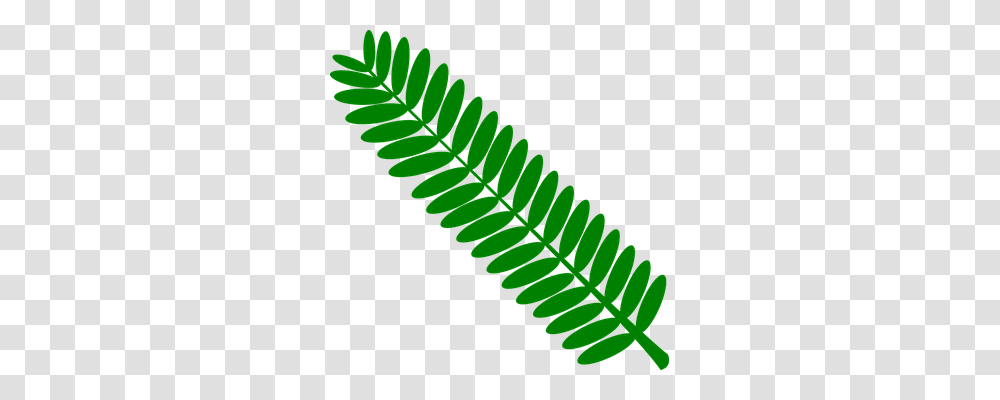 Green Nature, Screw, Machine, Fern Transparent Png