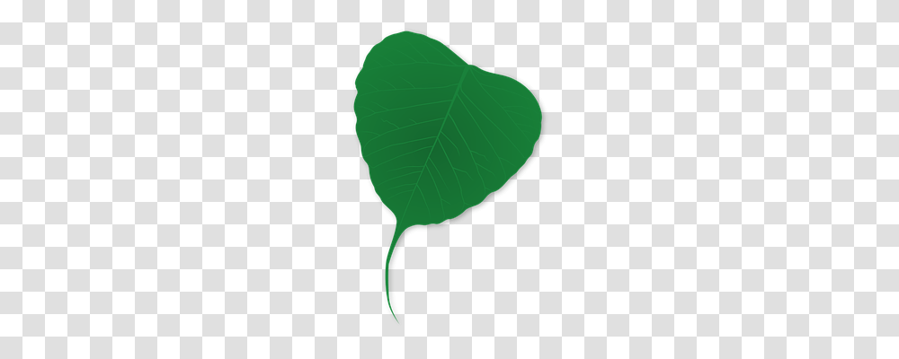 Green Nature, Leaf, Plant, Tree Transparent Png