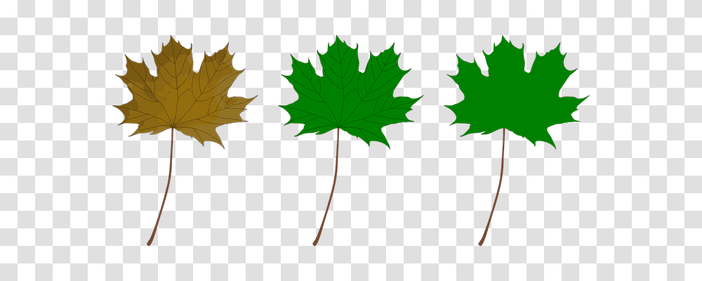 Green Nature, Leaf, Plant, Tree Transparent Png