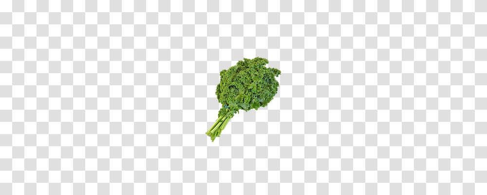 Green Food, Plant, Vegetable, Broccoli Transparent Png