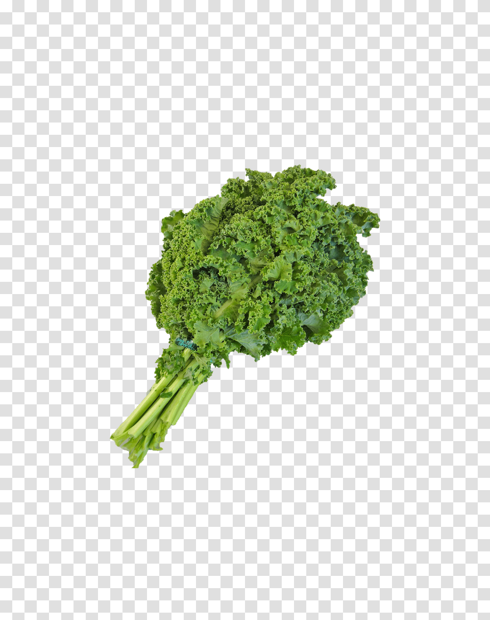 Green Vegetable, Plant, Food, Broccoli Transparent Png