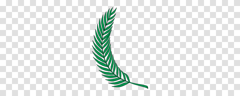 Green Nature, Plant, Leaf Transparent Png