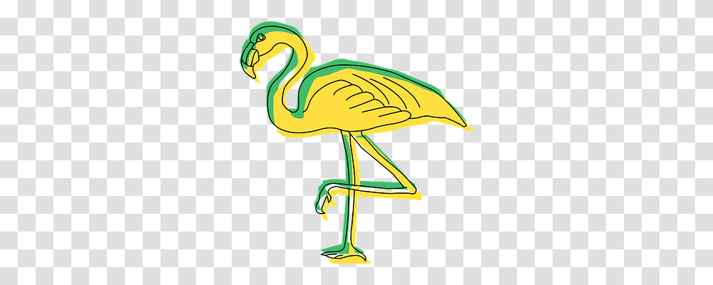 Green Animals, Bird, Flamingo Transparent Png