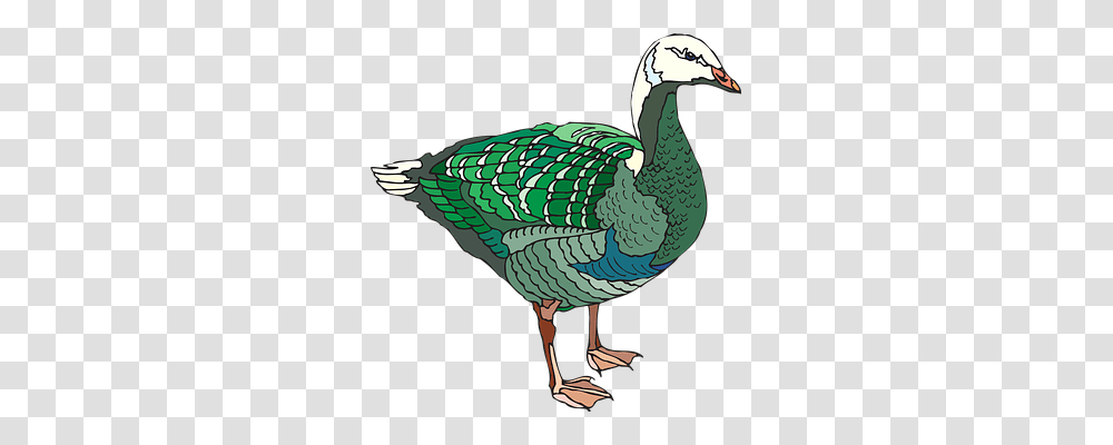 Green Animals, Bird, Dodo Transparent Png