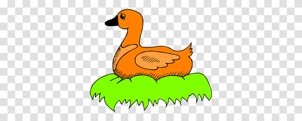 Green Animals, Bird, Duck Transparent Png