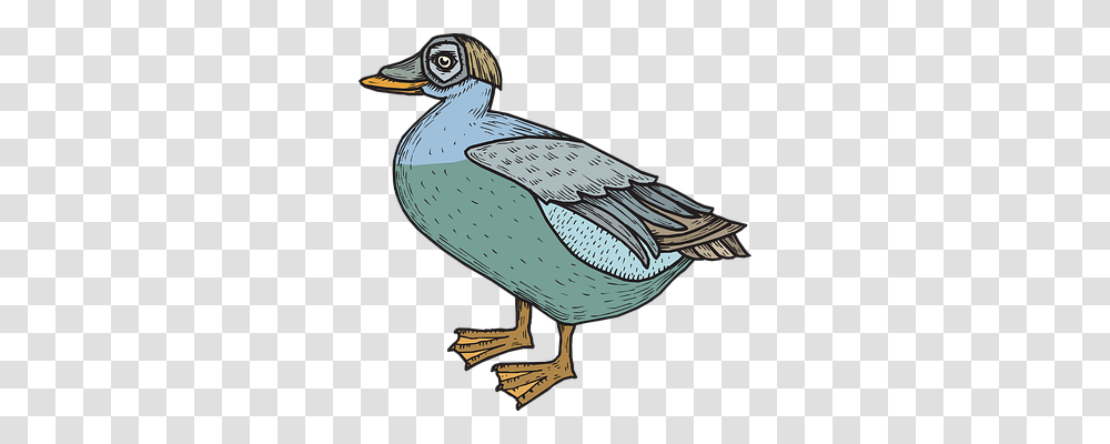 Green Animals, Bird, Beak, Dodo Transparent Png