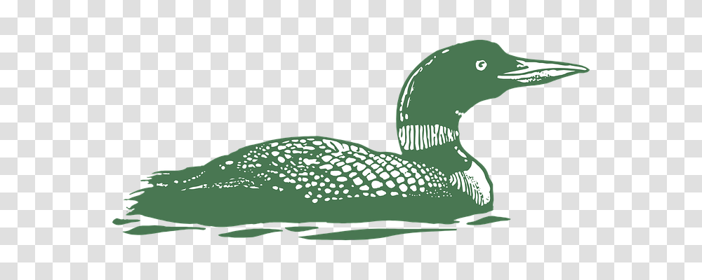 Green Animals, Bird, Waterfowl, Beak Transparent Png