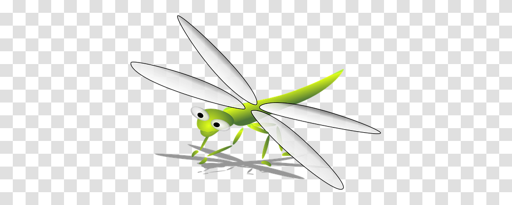 Green Animals, Insect, Invertebrate, Dragonfly Transparent Png