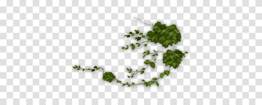 Green Nature, Plant, Leaf, Tree Transparent Png