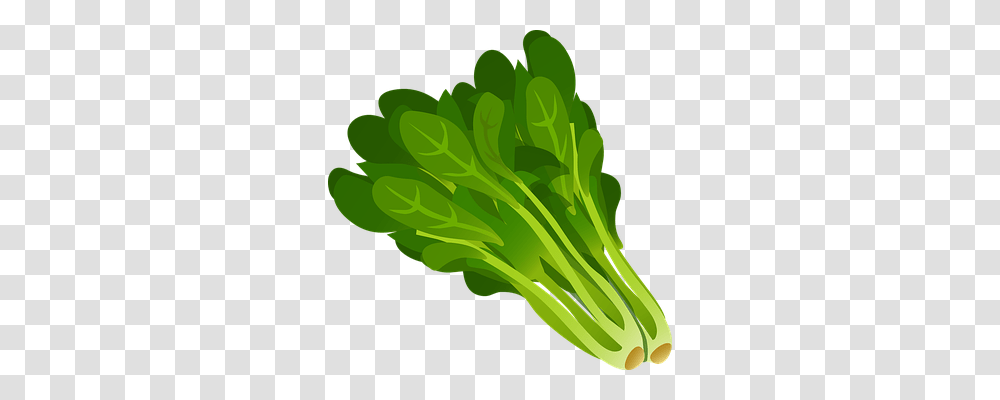 Green Food, Plant, Vegetable, Spinach Transparent Png