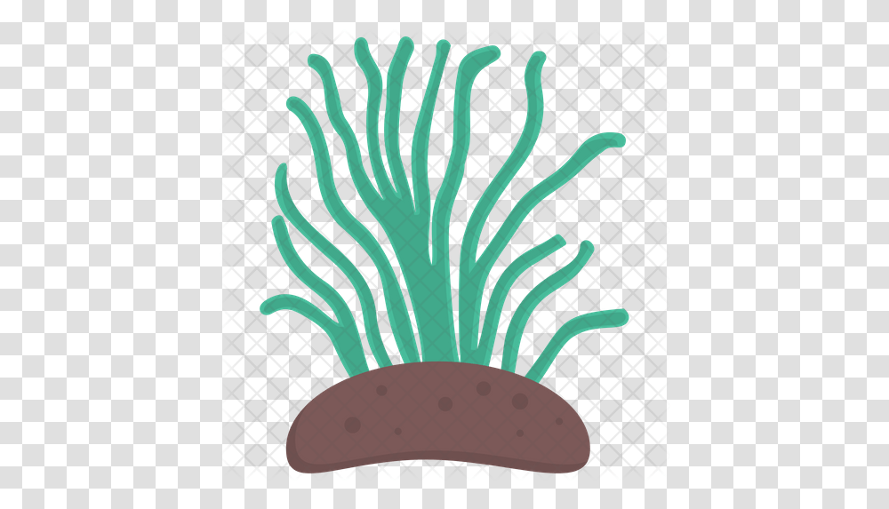 Green Algae Icon Algae Icon, Outdoors, Water, Nature, Reef Transparent Png