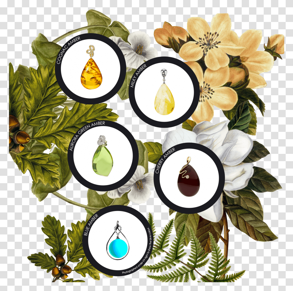 Green Amber Is Around One Million Years Old And Therefore Floral Design, Pattern, Plant Transparent Png
