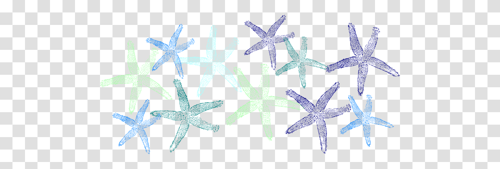 Green And Blue Starfish Clip Arts Download, Invertebrate, Sea Life, Animal, Spider Transparent Png
