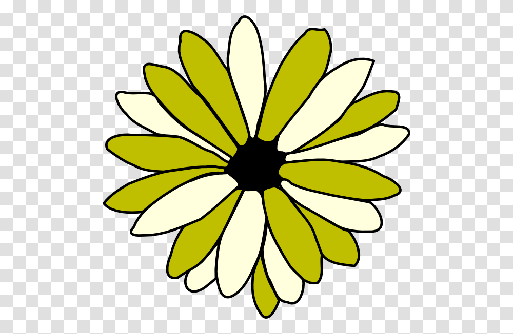 Green And Ivory Daisy Clip Arts For Web, Pattern, Plant, Flower, Blossom Transparent Png