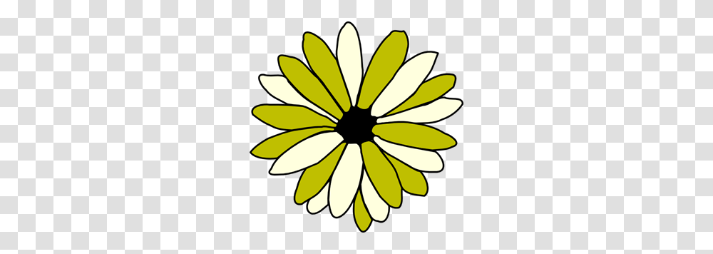 Green And Ivory Daisy Clip Arts For Web, Plant, Flower, Daisies, Blossom Transparent Png