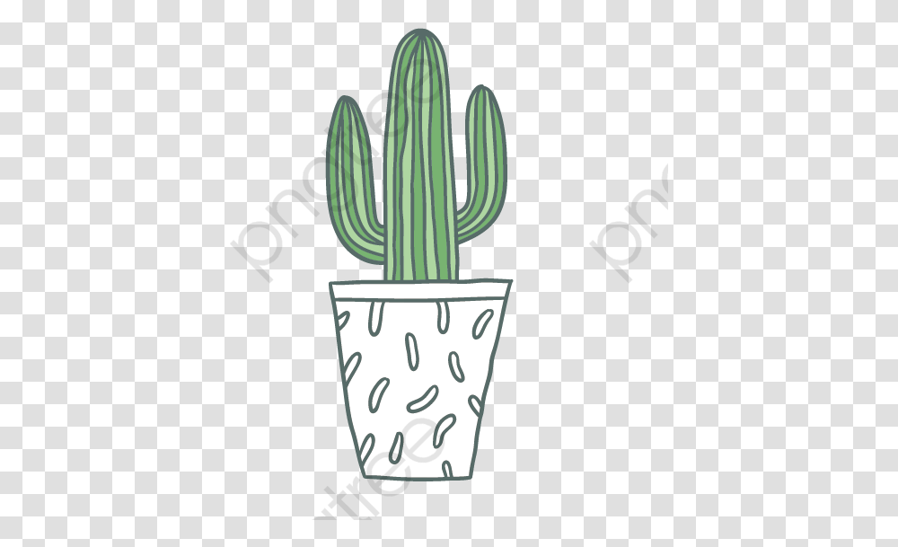 Green And With My Sweet Cactus, Plant Transparent Png