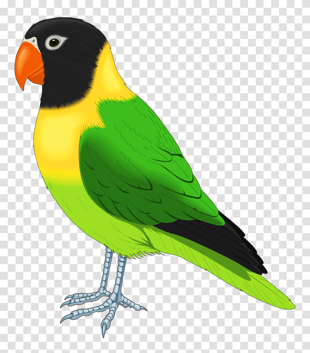 Green And Yellow Bird Clipart, Parakeet, Parrot, Animal, Beak Transparent Png