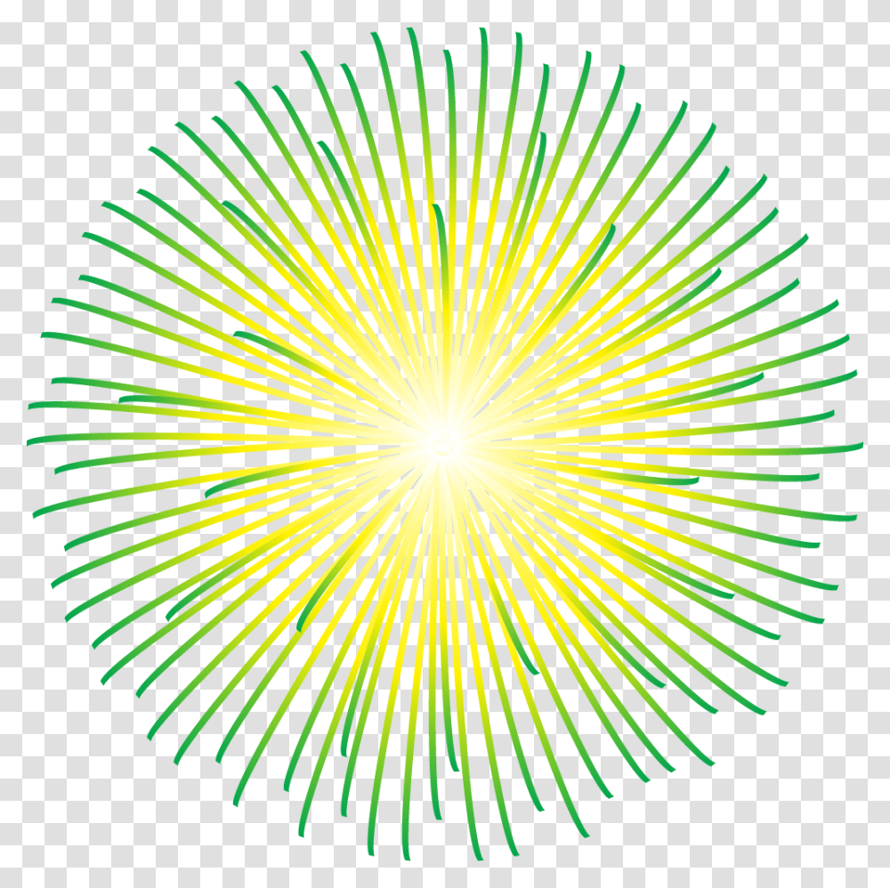 Green And Yellow Fireworks, Flower, Plant, Blossom, Nature Transparent Png