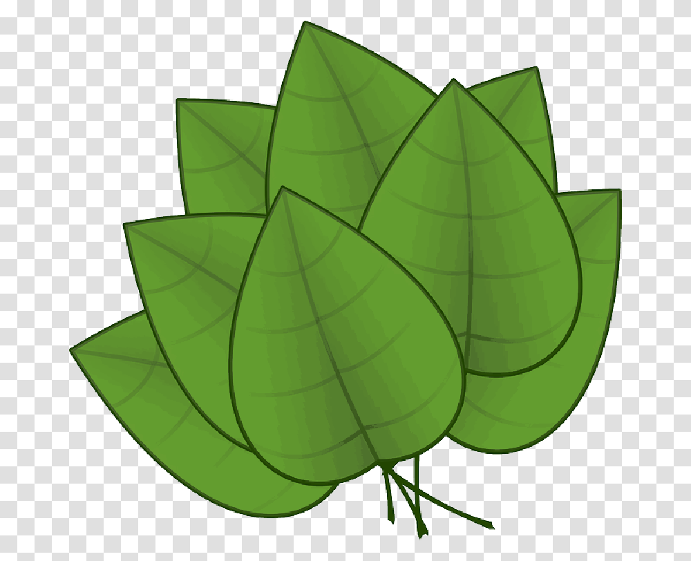 Green Apple Fall Outline Plants Leaf Palm Tree Parts Of The Plants Leaf, Tent, Veins, Moss Transparent Png