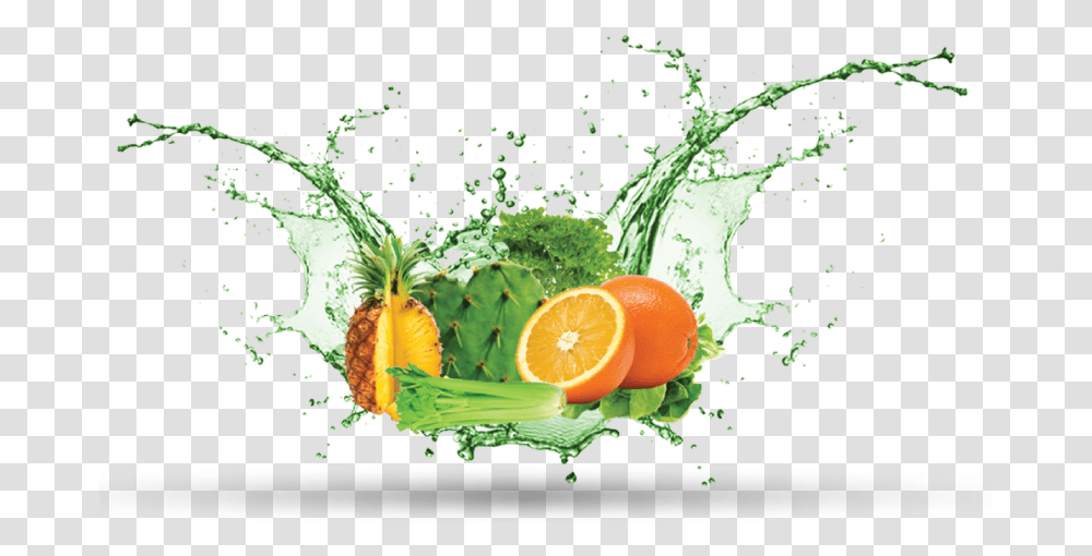 Green Apple Juice Splash, Plant, Citrus Fruit, Food, Orange Transparent Png