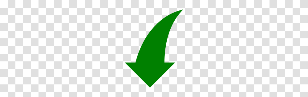 Green Arrow Icon, Plant, Meal Transparent Png