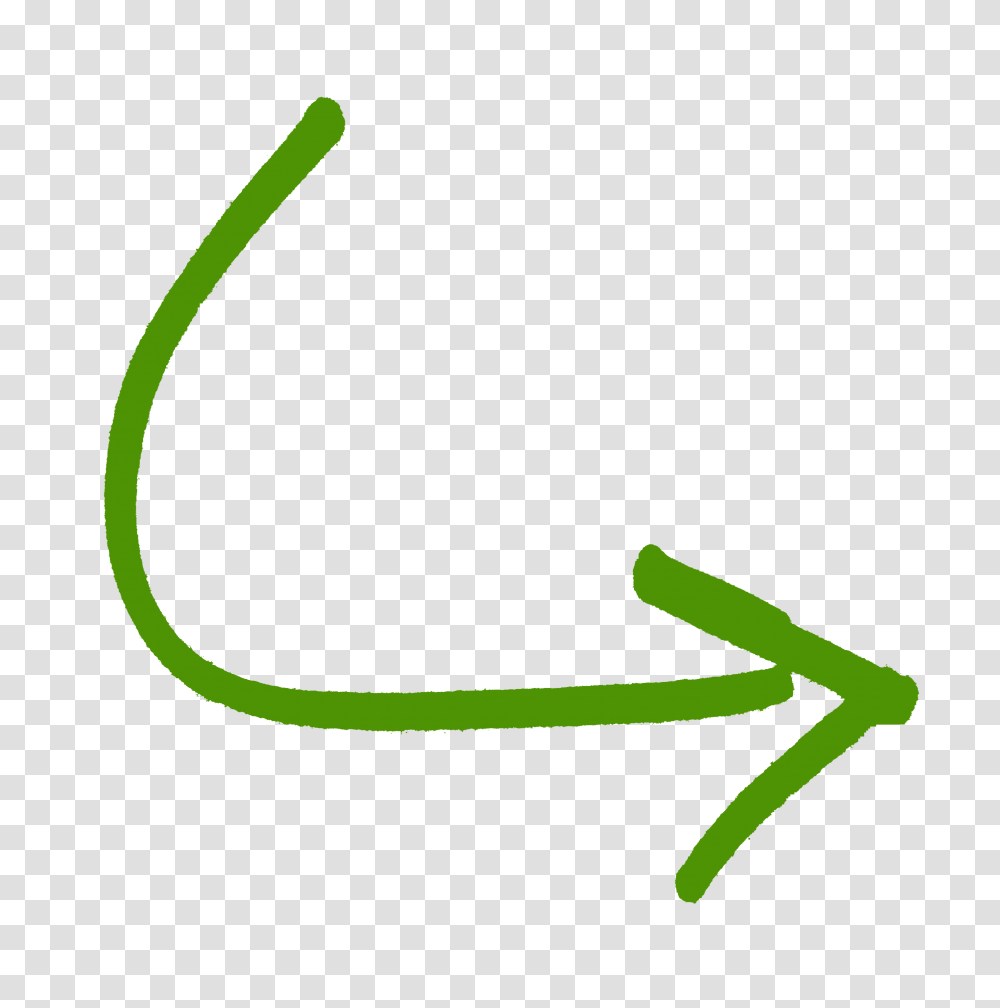 Green Arrow, Handwriting, Photography, Signature Transparent Png