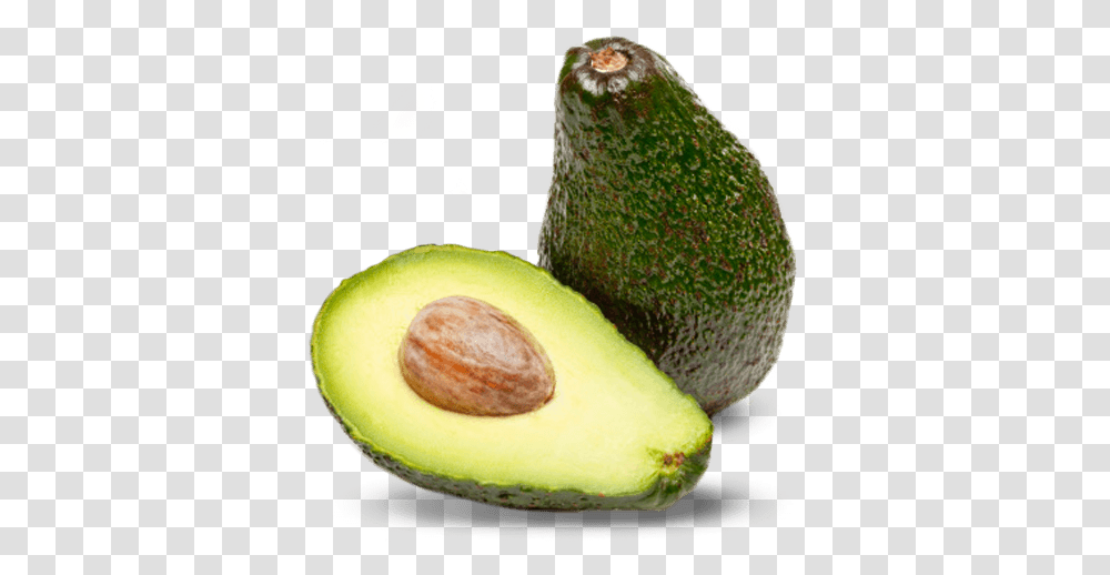 Green Avocado Image Avocado, Plant, Fruit, Food, Tennis Ball Transparent Png