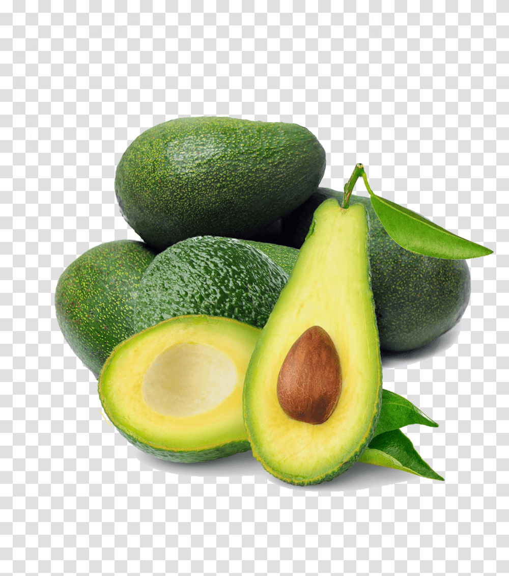 Green Avocado, Plant, Fruit, Food, Pear Transparent Png