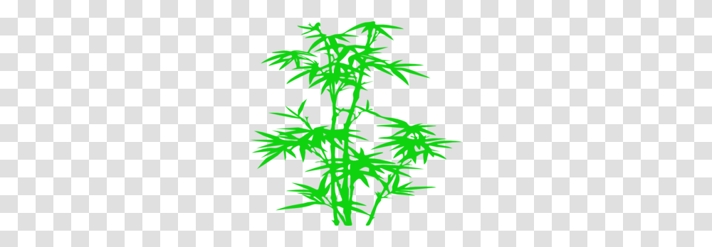 Green Bamboo Clip Art, Plant, Tree, Poster Transparent Png