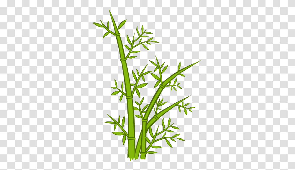 Green Bamboo Download Bamboo Cartoon, Plant, Flower, Herbal, Herbs Transparent Png