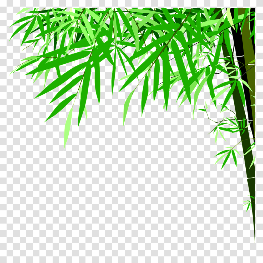 Green Bamboo High Definition Beauty Free Download, Plant, Leaf, Vegetation, Tree Transparent Png