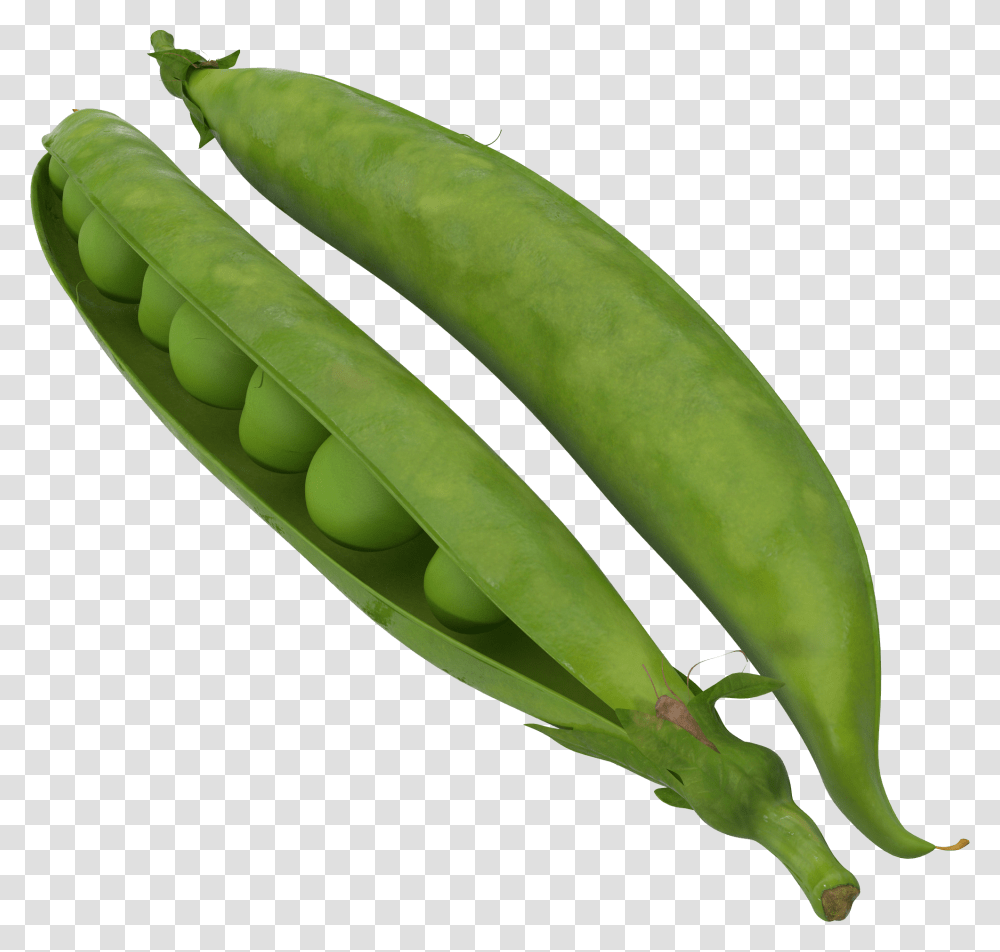 Green Bean Background Peapod 3d Model, Plant, Vegetable, Food, Banana Transparent Png