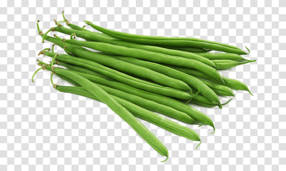 Green Bean Download Free Clip Art Beans Nati, Plant, Vegetable, Food, Produce Transparent Png