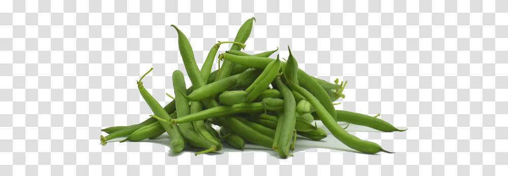 Green Bean, Plant, Vegetable, Food, Produce Transparent Png