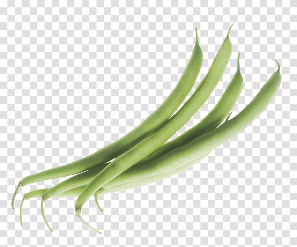 Green Bean, Vegetable, Plant, Food, Produce Transparent Png