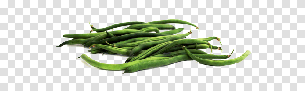 Green Bean, Vegetable, Plant, Food, Produce Transparent Png