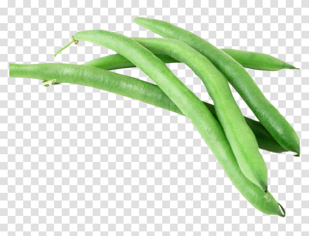 Green Bean, Vegetable, Plant, Food, Produce Transparent Png