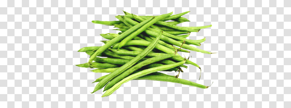 Green Bean, Vegetable, Plant, Food, Produce Transparent Png