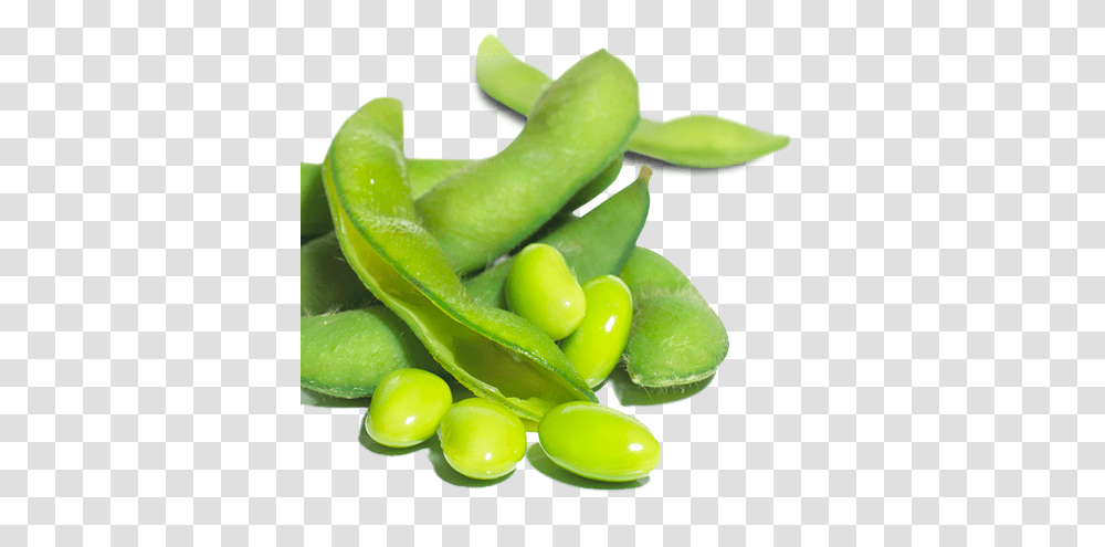 Green Bean, Vegetable, Plant, Food, Soy Transparent Png