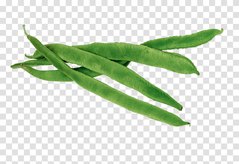 Green Bean, Vegetable, Plant, Produce, Food Transparent Png