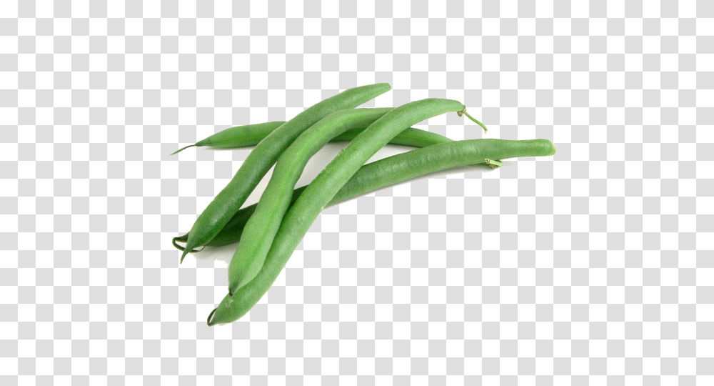 Green Bean, Vegetable, Plant, Produce, Food Transparent Png