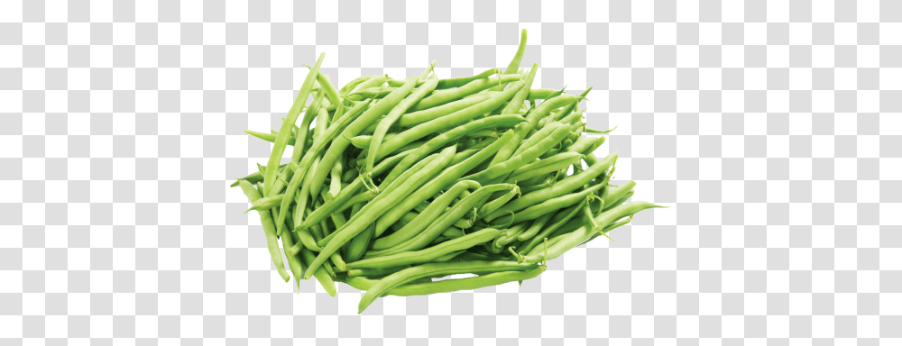 Green Bean, Vegetable, Plant, Produce, Food Transparent Png